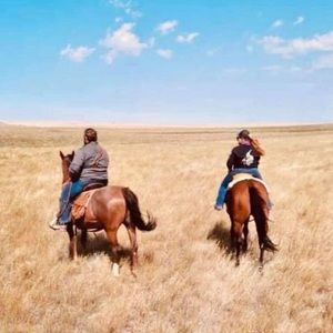 Meet your Posher, Danni